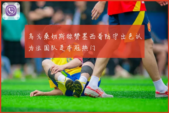 乌戈桑切斯称赞墨西哥防守出色认为法国队是夺冠热门